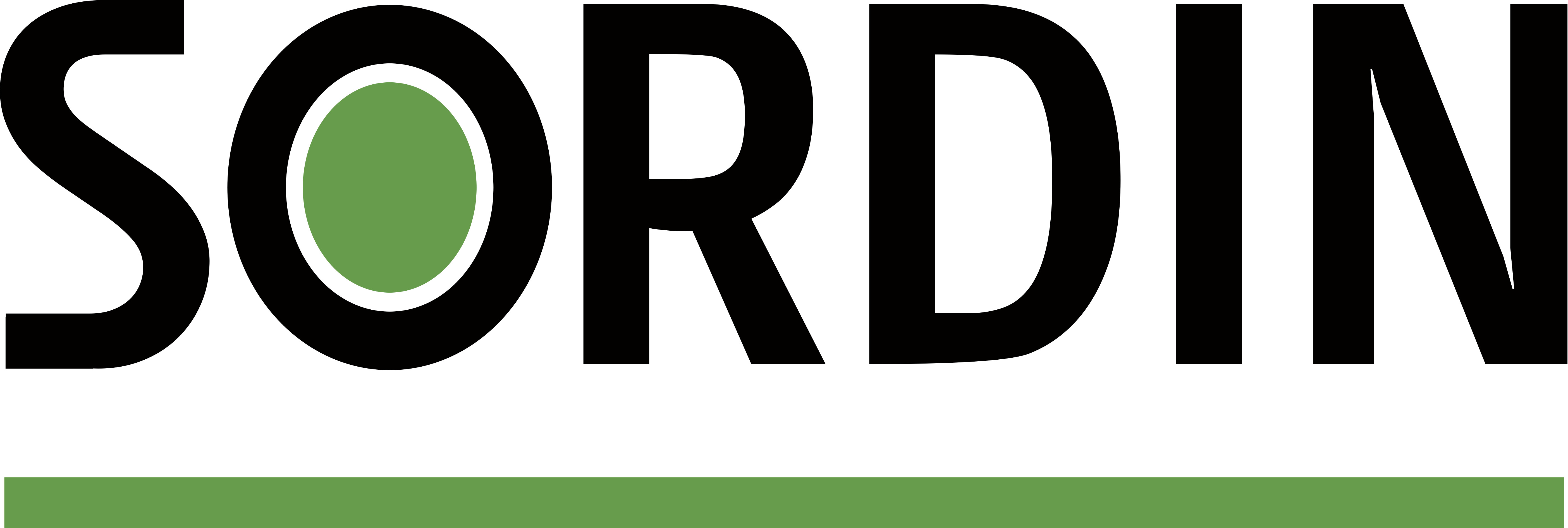 Logotype Sordin On White